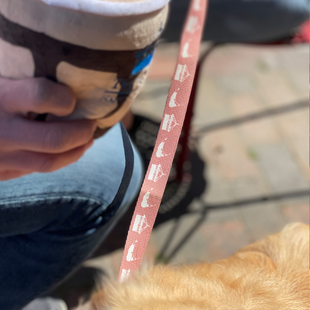Gazebo Dog Leash